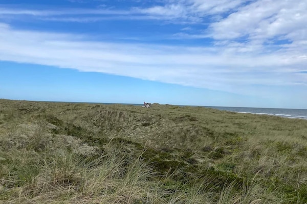 Foto van 8 persoons vakantie huis in Læsø - Vakantiehuis in Læsø - Untagged