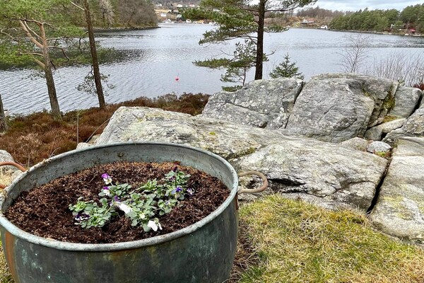 Foto van 8 persoons vakantie huis in SVEIO - Vakantiehuis in Sveio - Outdoor