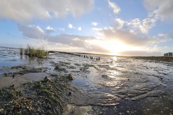Foto van 6 persoons vakantie huis in Rømø - Vakantiehuis in Rømø - WaterView
