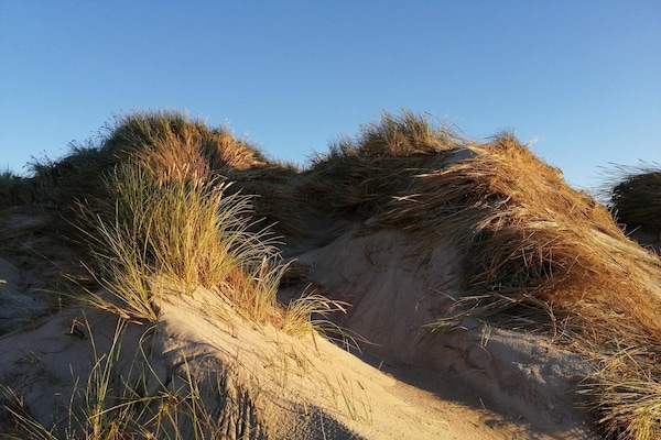 Foto van Licht zomerhuis nabij zee -- By Traum Ferienwohnungen - Untagged