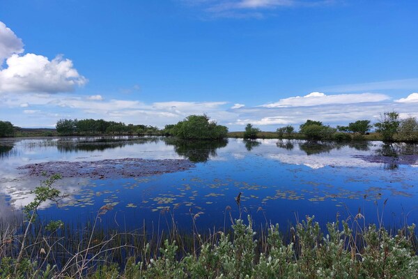 Foto van 6 persoons vakantie huis in Læsø-By Traum - Vakantiehuis in Læsø - WaterView