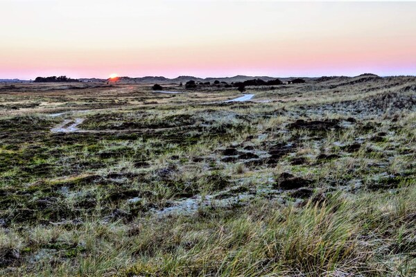 Foto van 6 persoons vakantie huis in Læsø-By Traum - Vakantiehuis in Læsø - Untagged