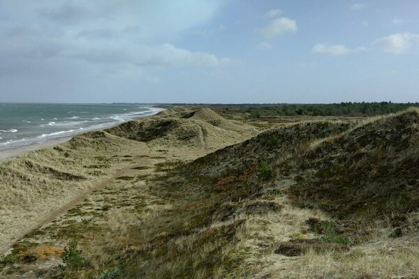 Foto van 6 persoons vakantie huis in Læsø-By Traum - Vakantiehuis in Læsø - WaterView