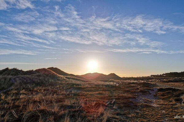 Foto van 6 persoons vakantie huis in Læsø-By Traum - Vakantiehuis in Læsø - Untagged
