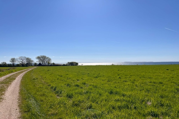 Foto van 8 persoons vakantie huis in Sjølund-By Traum - Vakantiehuis in Sjølund - Untagged