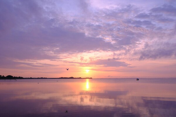 Foto van 8 persoons vakantie huis in Sjølund-By Traum - Vakantiehuis in Sjølund - WaterView