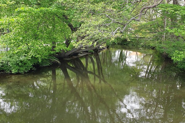 Foto van 8 persoons vakantie huis in Sæby-By Traum - Vakantiehuis in Sæby - WaterView