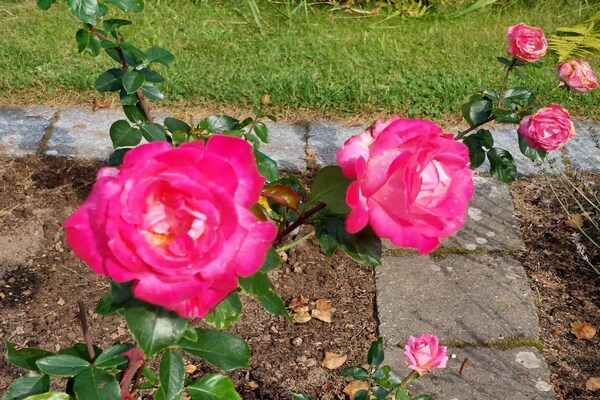 Foto van 8 persoons vakantie huis in Sæby-By Traum - Vakantiehuis in Sæby - Untagged