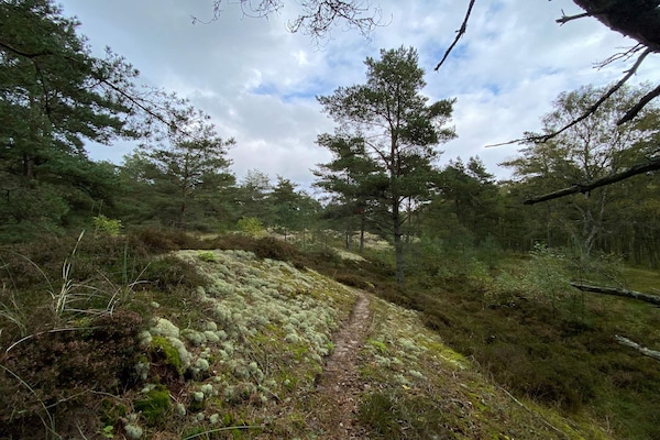 Foto van 6 persoons vakantie huis in Hadsund-By Traum - Vakantiehuis in Hadsund - Untagged