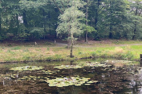 Foto van 6 persoons vakantie huis in Hovborg-By Traum - Vakantiehuis in Hovborg - WaterView