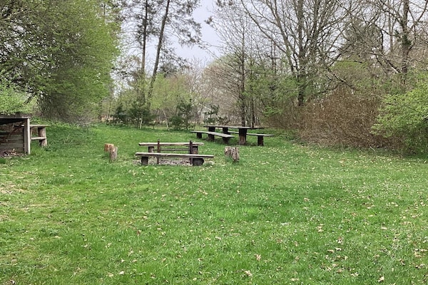 Foto van 6 persoons vakantie huis in Hovborg-By Traum - Vakantiehuis in Hovborg - View