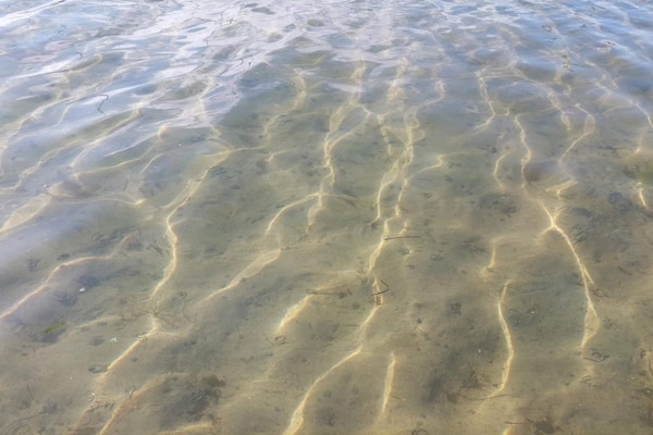 Foto van Licht strandhuis in Marielyst -- By Traum Ferienwohnungen - WaterView