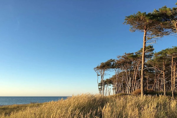 Foto van Moderne oase in Marielyst - Vakantiehuis in Væggerløse - WaterView
