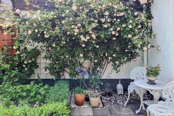 Foto van 5 sterren vakantie huis in SIMRISHAMN - Vakantiehuis in SIMRISHAMN - Outdoor
