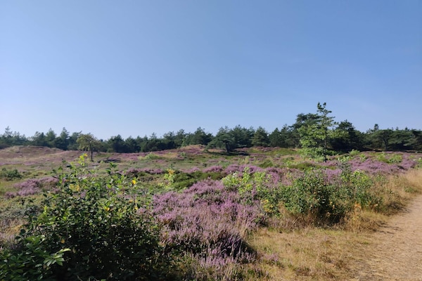 Foto van 5 sterren vakantie huis in Rømø - Vakantiehuis in Rømø - Untagged