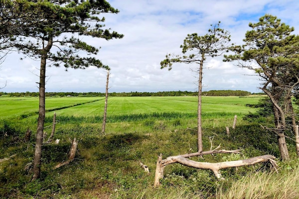 Foto van 5 sterren vakantie huis in Rømø - Vakantiehuis in Rømø - Untagged