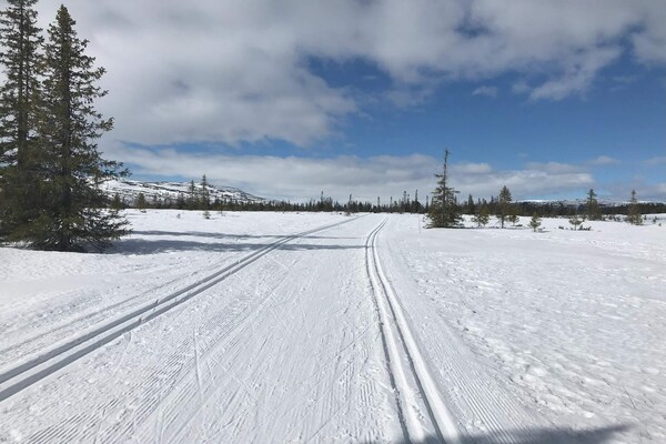 Foto van 10 Personen vakantie huis in NORDTORPA - Vakantiehuis in NORDTORPA - Untagged