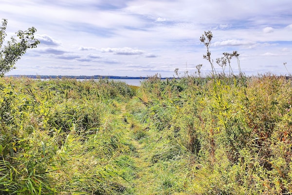 Foto van 4 sterren vakantie huis in Orø - Vakantiehuis in Orø - View