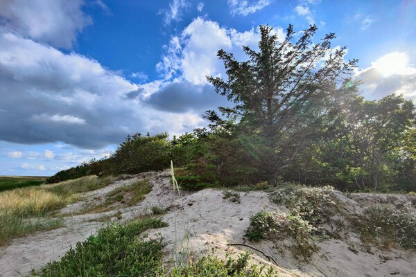 Foto van 9 persoons vakantie huis in Hals-By Traum - Vakantiehuis in Hals - Untagged