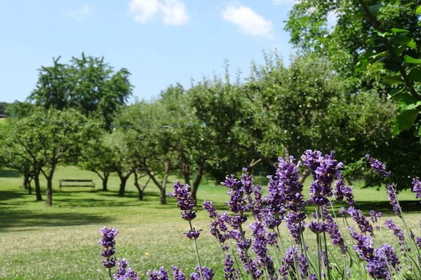 Foto van 3 Weingut Hauerhof 99 - Vakantiehuis in Klosterneuburg - Untagged