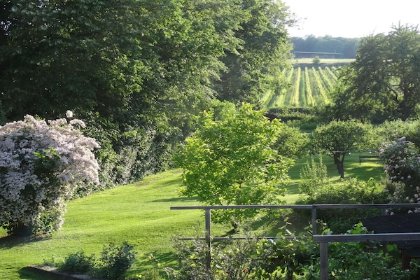 Foto van 3 Weingut Hauerhof 99 - Vakantiehuis in Klosterneuburg - Untagged