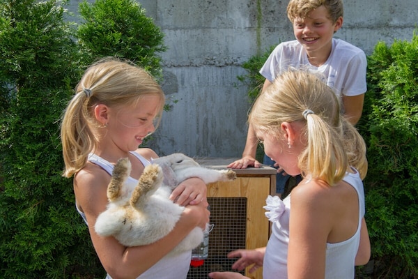 Foto van Edelweiss Appartement - Vakantiehuis in St. Johann Pongau - Untagged