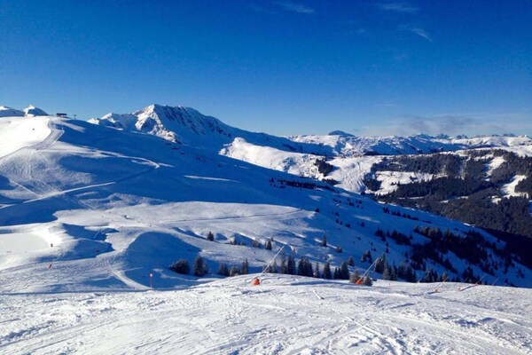 Foto van Appartement in Mittersill bij Skibanen - Vakantiehuis in Mittersill - AreaSummer5KM