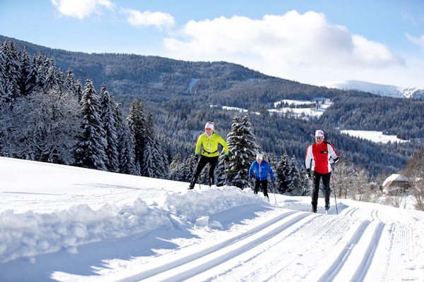 Foto van Luxe chalet met Finse sauna - Vakantiehuis in Turracherhöhe - AreaWinter5KM