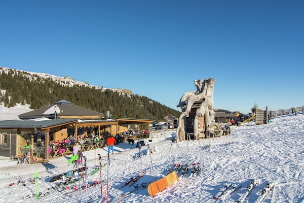 Foto van Chalet in Karinthië met sauna bij skipistes - Vakantiehuis in Sankt Gertraud-Weinebene - AreaWinter1KM