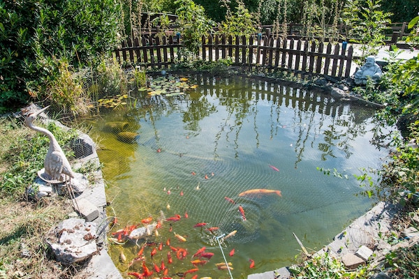 Foto van Vakantiehuis in Houyet voor 6 personen - Vakantiehuis in Houyet - ParkFacilities