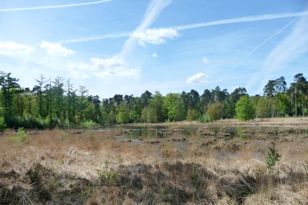 Foto van Cordelia Lodge met tuin en picknickplaats - Vakantiehuis in Ravels - AreaSummer5KM