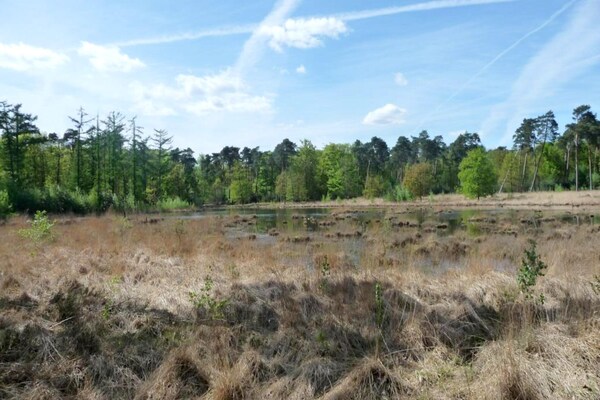 Foto van Cordelia Lodge met tuin en picknickplaats - Vakantiehuis in Ravels - AreaSummer5KM