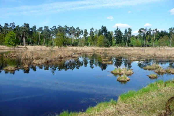 Foto van Cordelia Lodge met tuin en picknickplaats - Vakantiehuis in Ravels - AreaSummer1KM