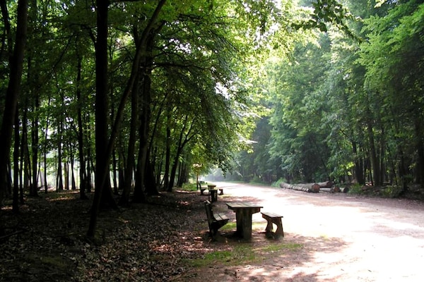 Foto van Cordelia Lodge met tuin en picknickplaats - Vakantiehuis in Ravels - AreaSummer5KM