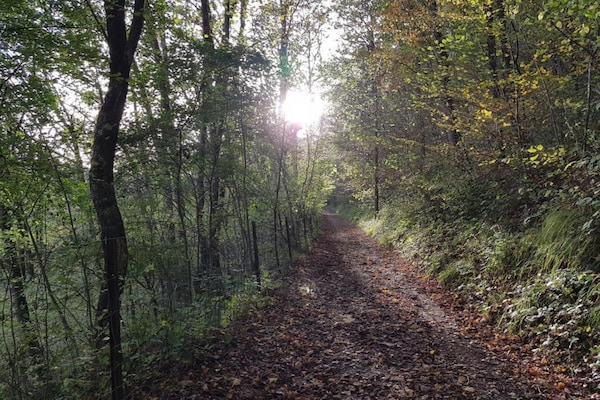 Foto van Riverside Retreat Viroinval - Vakantiehuis in Treignes - AreaSummer20KM