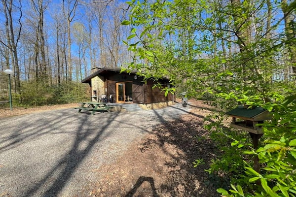 Foto van Comfortabel chalet in Oignies - Vakantiehuis in Oignies-en-Thierache - ExteriorSummer