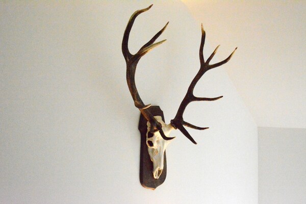 Foto van Villa in Berismenil nabij bos - Vakantiehuis in Berismenil (La Roche-en-Ardenne) Ardennes - Ambiance