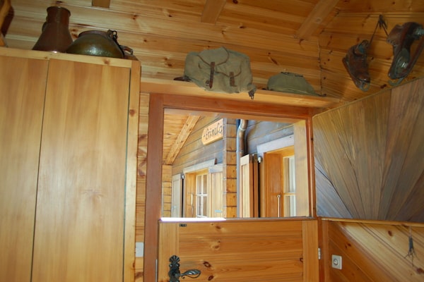 Foto van 1 in Chalet Primula - Vakantiehuis in Bürchen - Untagged