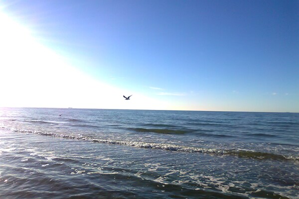 Foto van Gezellig appartement in Zierow met buitenhaard - Vakantiehuis in Zierow - Ambiance