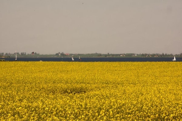 Foto van Gezellig appartement in Zierow met buitenhaard - Vakantiehuis in Zierow - AreaSummer20KM
