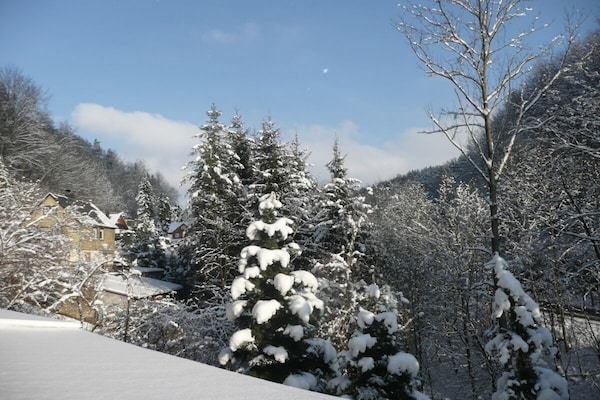Foto van en vakantieappartementen Zaukeneck - Vakantiehuis in Bad Schandau\/Rathmannsdorf - Untagged