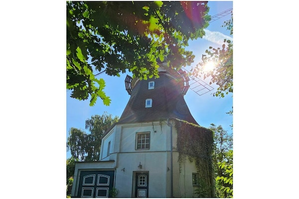 Foto van F.-Huis FH10 De Oude Molen - Vakantiehuis in Graal-Müritz - Untagged