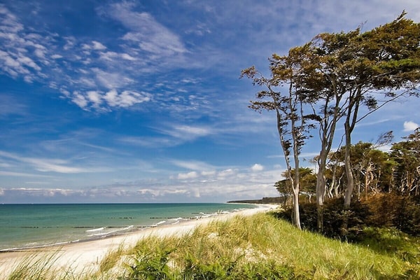 Foto van Dwarsloeper 278 - Vakantiehuis in Baabe - Untagged