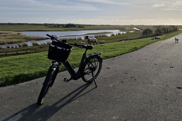 Foto van Diek Twilling 4 - Vakantiehuis in St.Peter-Ording - Untagged