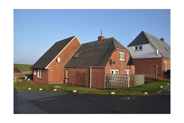 Foto van Eri + Uli - Kiefhuck - Vakantiehuis in Nordstrand - Untagged