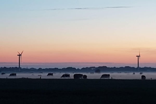 Foto van Crildummersiel Boerderij - Vakantiehuis in Wangerland, Deutschland - Untagged
