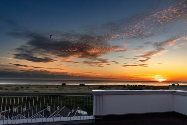 Foto van 49.6.N Dwarslöper - Vakantiehuis in Wangerland - Untagged