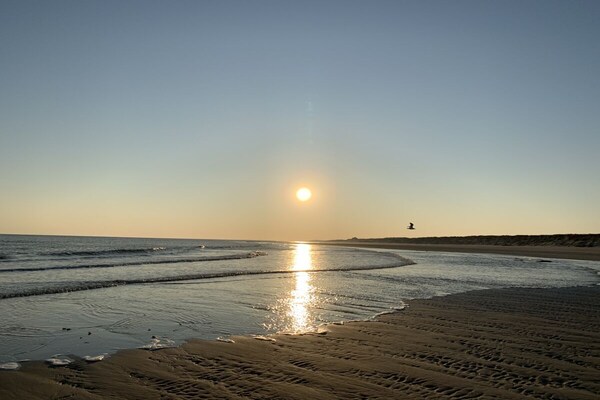 Foto van Ferienhus Sjuts H14A - Vakantiehuis in Langeoog - Untagged