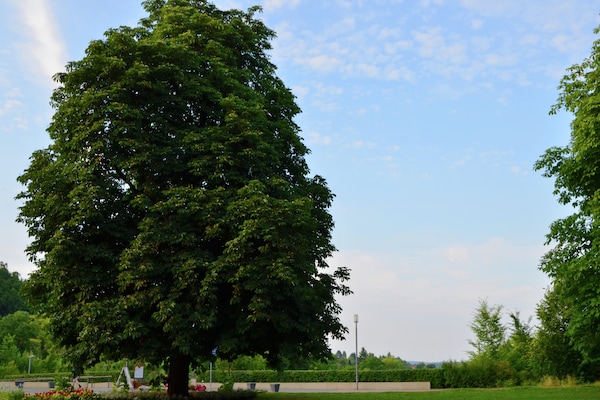 Foto van Appartement met terras in Hüddingen - Vakantiehuis in Bad Wildungen - AreaSummer5KM