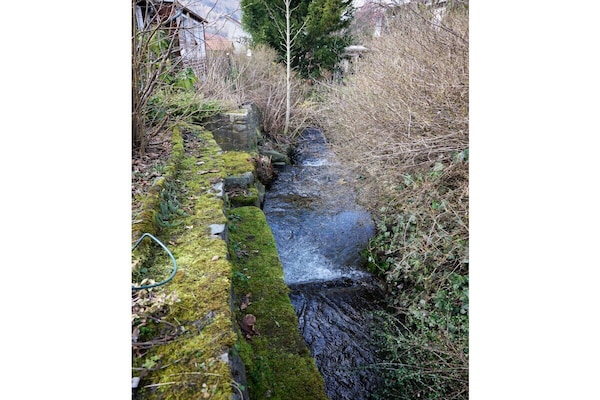 Foto van Familiegeluk Lautenthal - Vakantiehuis in Lautenthal - Untagged
